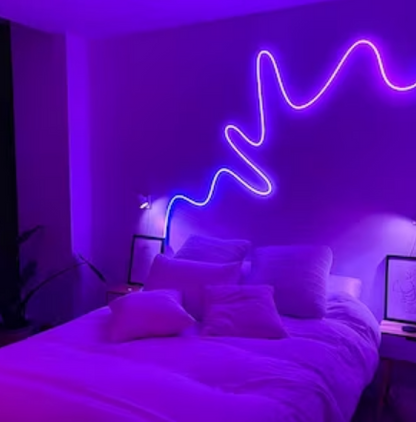 Neon Rope Lights